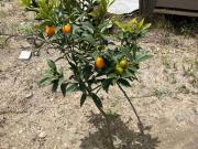 vendo terreno en Ricaurte a 4 minutos del centro