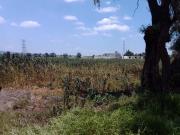 VENDO TERRENO EN SAN MIGUEL XOMETLA ACOLMAN EDO MEX...