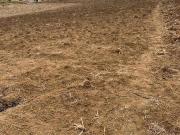 Vendo Terreno En Toray Cojitambo