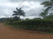 VENDO TERRENO ESQUINERO HERMOSA VISTA, URB CASCADA AZUL