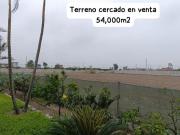VENDO TERRENO INDUSTRIAL CERCADO 54,000 M2 EN PLENA...