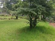 VENDO TERRENO. MORELOS. EN ZONA BOSCOSA. CORREDOR...