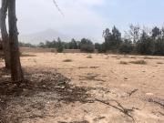 VENDO TERRENO PARA CLUBES CIENEGUILLA