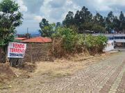 Vendo terreno plano centro de Uyumbicho 500m2