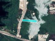 VENDO TERRENO SOBRE LA AMPLIACIÓN DE LA AVENIDA NUEVA...