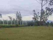 VENDO TERRENO UBICADO CERCA BARRIO EJIDO COTACACHI VENDO TERRENO UBICADO CERCA BARRIO EJIDO COTACACHI