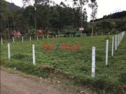 Vendo Terreno Urbano En Oxapampa