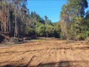 Vendo terrenos de 2000 m2 a 16 minutos de Concepción,... Vendo terrenos de 2000 m2 a 16 minutos de Concepción,...