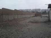 VENDO TERRENOS EN PUENTE PIEDRA DE 1,000 M2 CADA UNO