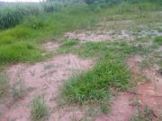 VENDO UM TERRENO DE 630M² BOM PARA CONSTRUIR MERCADO,...