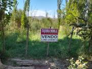 Vendo una hectarea con vista a la montana ideal para cabanas