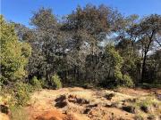 VENTA 10 HECTREAS DE BOSQUE EN OMITLAN DE JUAREZ, HIDALGO