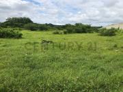 Venta 1,5347 Héctareas Vía a la Costa – Antes del Peaje...