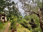 Venta 1 Dormitorio Casa Balears Illes Balearic Islands...