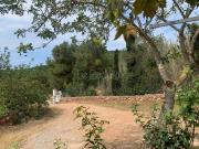 Venta 1 Dormitorio Casa Ibiza Balearic Islands DS78125846