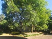 Venta Terreno en Santa Rosa, Xochiaca. En desarrolo...