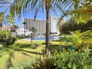 Venta 2 Dormitorio Apartamentos Benidorm Alicante DS93253130