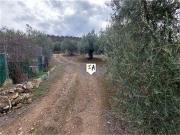 Venta 2 Dormitorio Casa Fuente Tojar Cordoba DS81999160