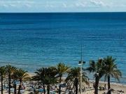 Venta 2 Dormitorio Condo Benidorm Alicante DLS96309468