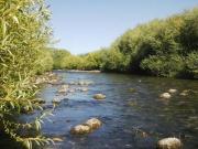 VENTA 2 HECTAREAS S/ RÍO QUILQUIHUE SAN MARTIN DE LOS ANDES