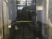 VENTA 3 DEPARTAMENTOS D E 2 AMBIENTES EN BLOCK ZONA...