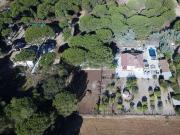 Venta 3 Dormitorio Casa Bonares Huelva DS94955704
