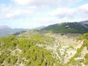 Venta 3 Dormitorio Casa Esporles Mallorca DS91735490