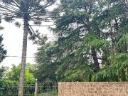 VENTA, 3 LOTES DE 6518M2 EN TOTAL, VILLA ELISA, LA PLATA