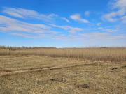 VENTA 3 LOTES EL SAUCE CALLEJÓN FERRER