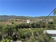 Venta 4 Dormitorio Casa Alcala La Real Jaen DS82003504