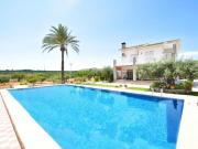 Venta 4 Dormitorio Casa Elche Costa Blanca DS81260847