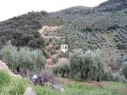Venta 4 Dormitorio Casa Fuensanta De Martos Jaen DLS42119843