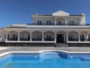 Venta 4 Dormitorio Villa Pinoso Alicante DS84976640