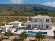 Venta 4 Dormitorio Villa Pinoso Alicante DS96691297