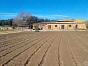 Venta 5 Dormitorio Casa Girona Catalonia DS87769500