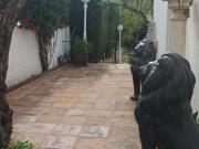 Venta 5 Dormitorio Casa Málaga Málaga DLS90637554