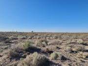 Venta 5 hectáreas Parque Industrial Neuquén Capital