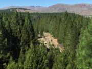 VENTA 60 Ha con acceso sobre costa de Río Limay Valle...