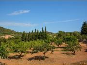 Venta 6 Dormitorio Casa Son Servera Spanien DS77190440