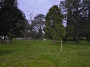 VENTA 6 LOTES BARRIO CUMBRE DE LA ROSA III PILAR