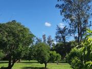 VENTA 7 HECTAREAS CON COSTA DE ARROYO CASCO DE ESTANCIA