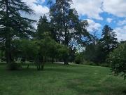 VENTA 7 HECTAREAS CON COSTA DE ARROYO CASCO DE ESTANCIA