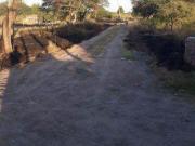 VENTA: 8,2 Ha + CASA EN CORONDA Ref. 1026