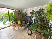 VENTA AMPLIA CASA EN LA CISTENERA