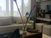 Venta apartamento amoblado portal de Genoves...