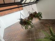 Venta apartamento ubicada en laureles