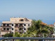 Venta Apartamentos Adeje Santa Cruz De Tenerife DLS96343989