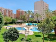 Venta Apartamentos Alicante Alicante DS98881541