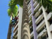 Venta apto 205 m2. 3h+s.3.5b+s. 3p. Los Naranjos