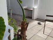 Venta: B° Gral Paz: Amplio Dpto 1 Dor y Vestidor, Patio,...